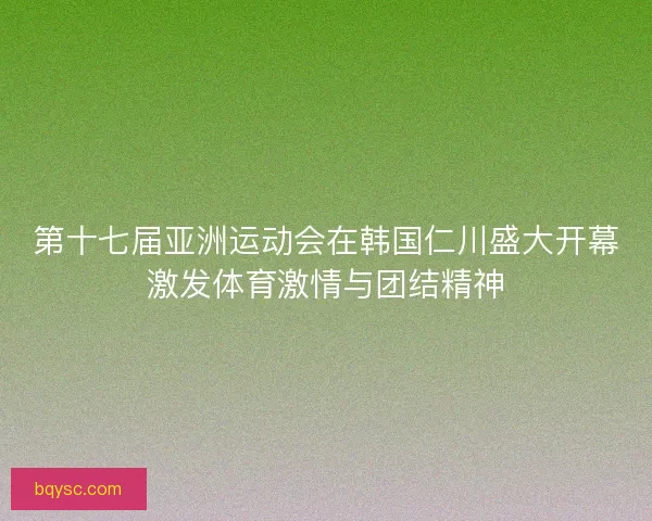 第十七届亚洲运动会在韩国仁川盛大开幕激发体育激情与团结精神