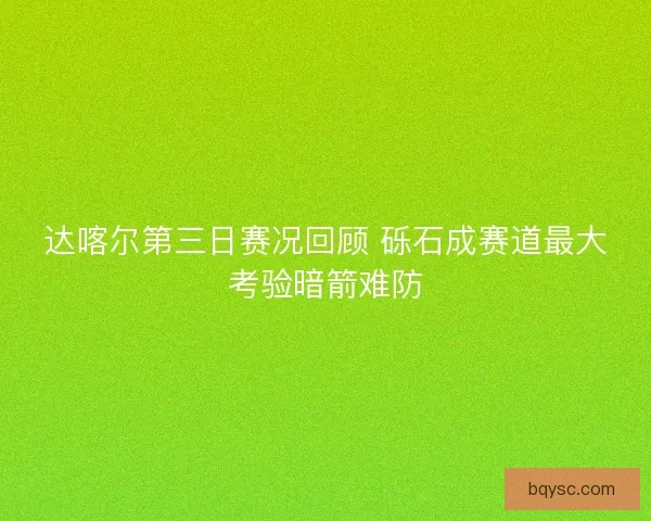 达喀尔第三日赛况回顾 砾石成赛道最大考验暗箭难防